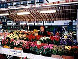 ヘルシンキ市場の花屋の画像