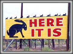 アリゾナ州のジャックラビットの看板 - Famous Jack Rabbit Sign Here it is